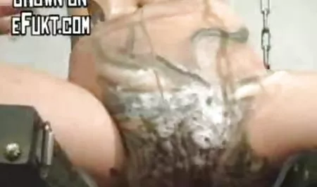 Conchita w darmowe filmy z cipkami język programowania, kompilator