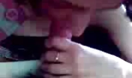Kot duży mokra cipka film biznes